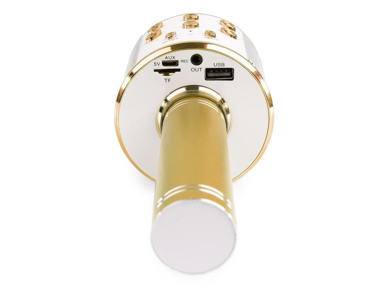 MAX Mikrofon KM15G Gold Karaoke Mikrofon mit eingebautem Lautsprecher und LED-Beleuchtung