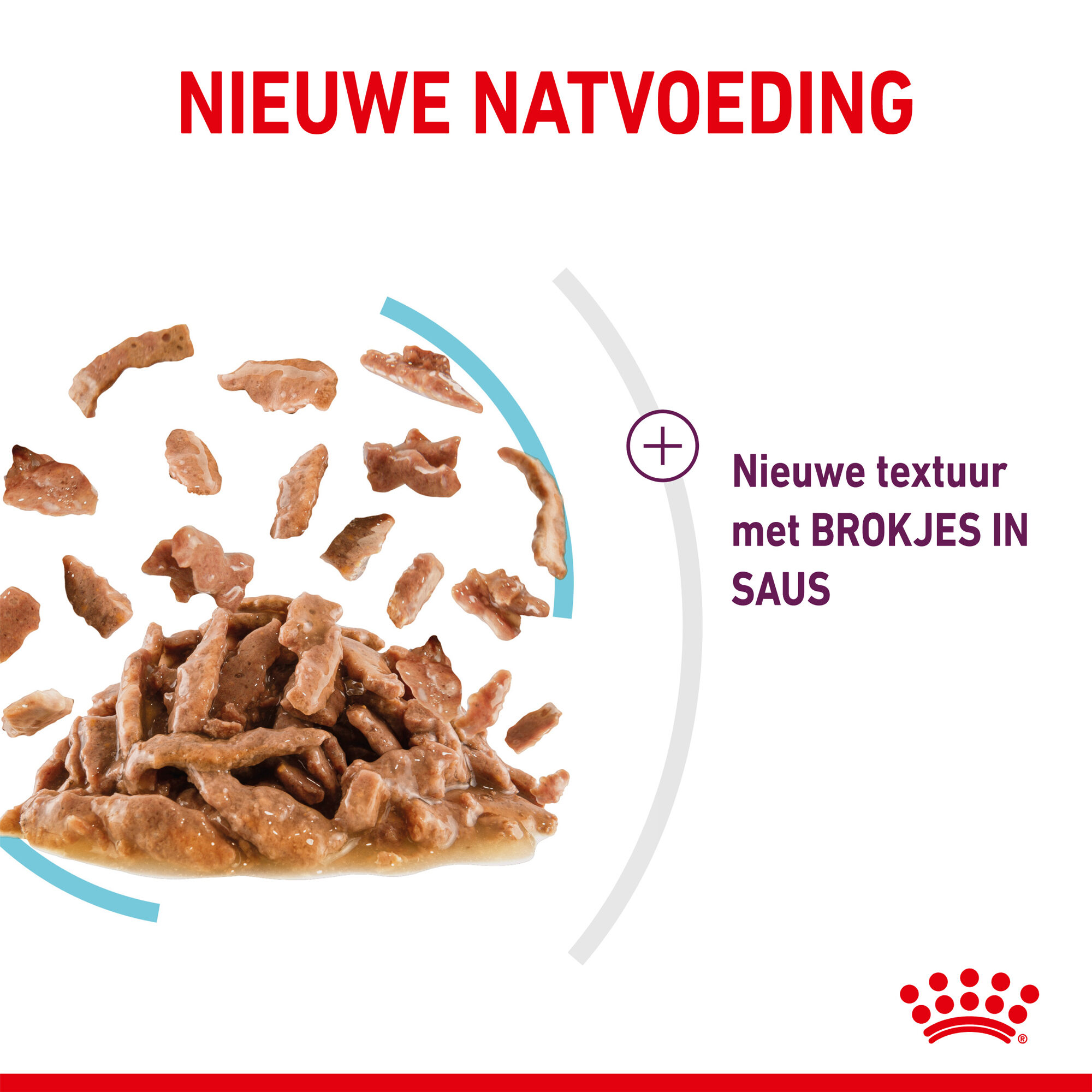 Royal Canin FHN Sensory Feel In Gravy