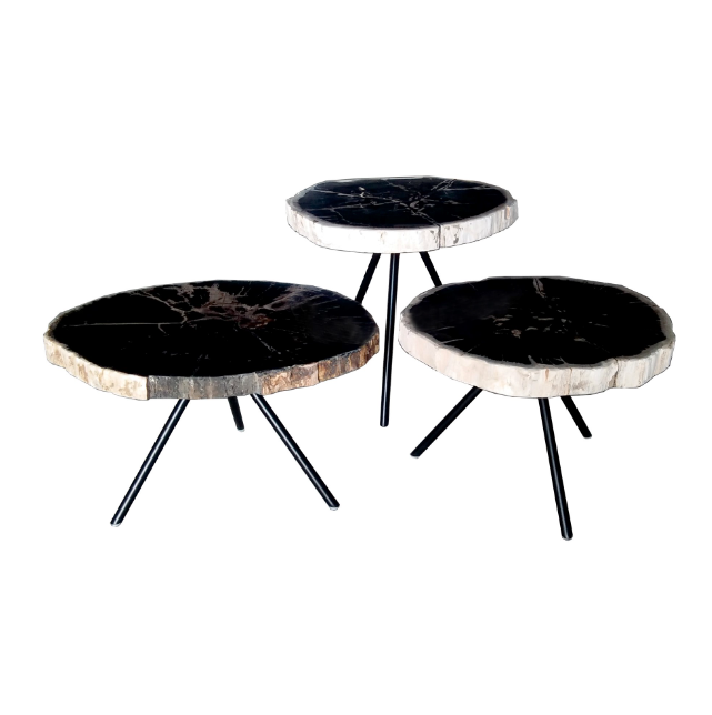 Salontafel Versteend Hout set van 3 Salontafel Natuursteen (set van 3)