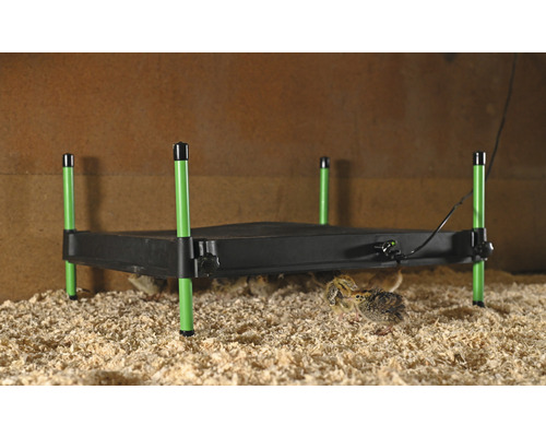 KERBL CosyHeat verwarmingsplaat voor kuikens 40 x 50 cm