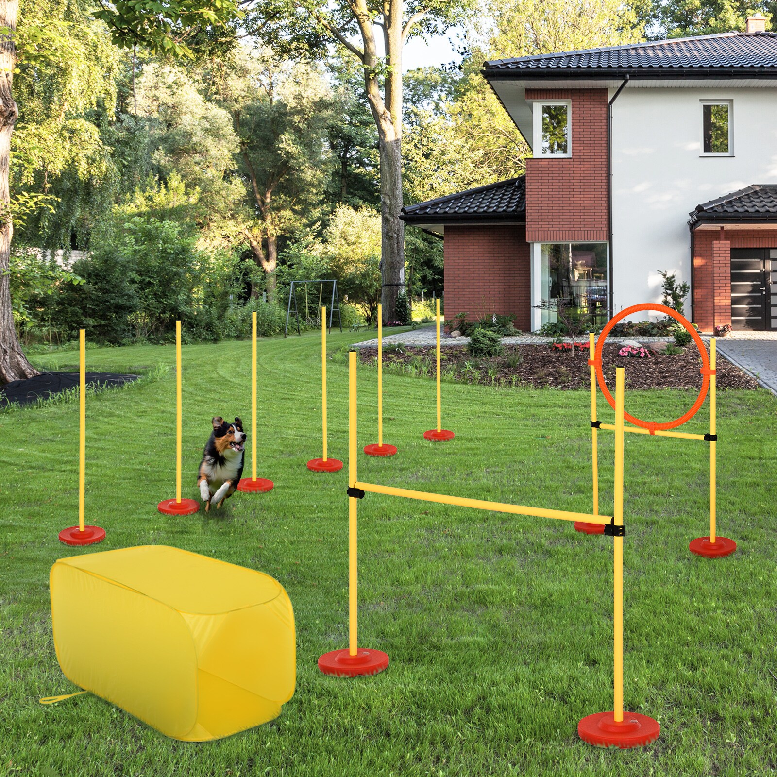 PawHut Agility Set für 4 verschiedene Trainingsvarianten gelb