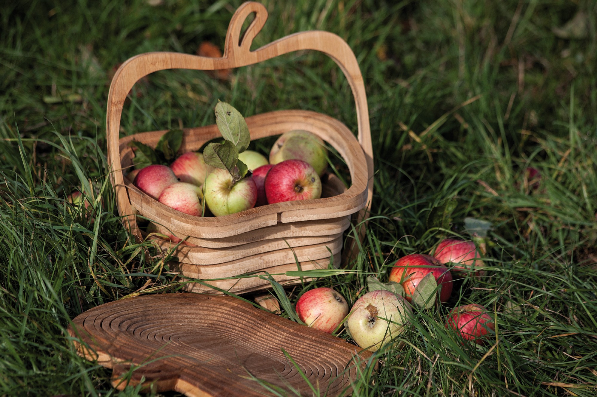 Fruchtkorb 'Apfel', Bambus, T 30 cm, B 27 cm, H 2 cm von fischer's lagerhaus