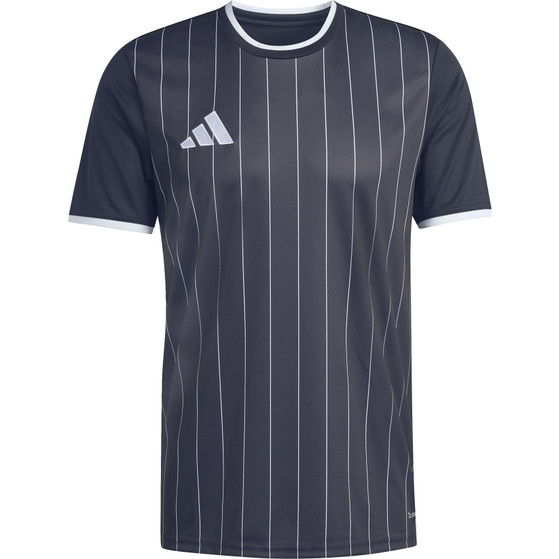 adidas Entrada 26 GFX Trainingsset