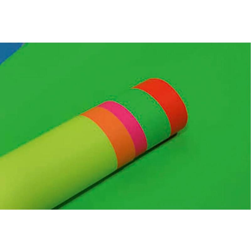 PAPIER AFFICHE FLUO, Rouleau de 10 feuilles 90g/m2 au format 60x80cm - Assortiment