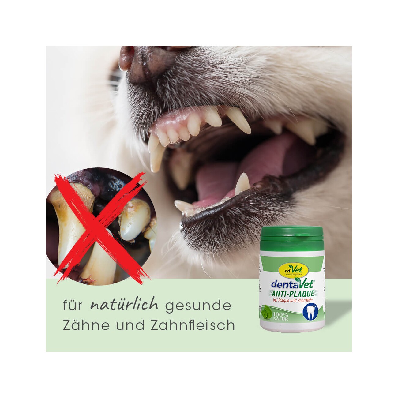 cdVet dentaVet Anti-Plaque