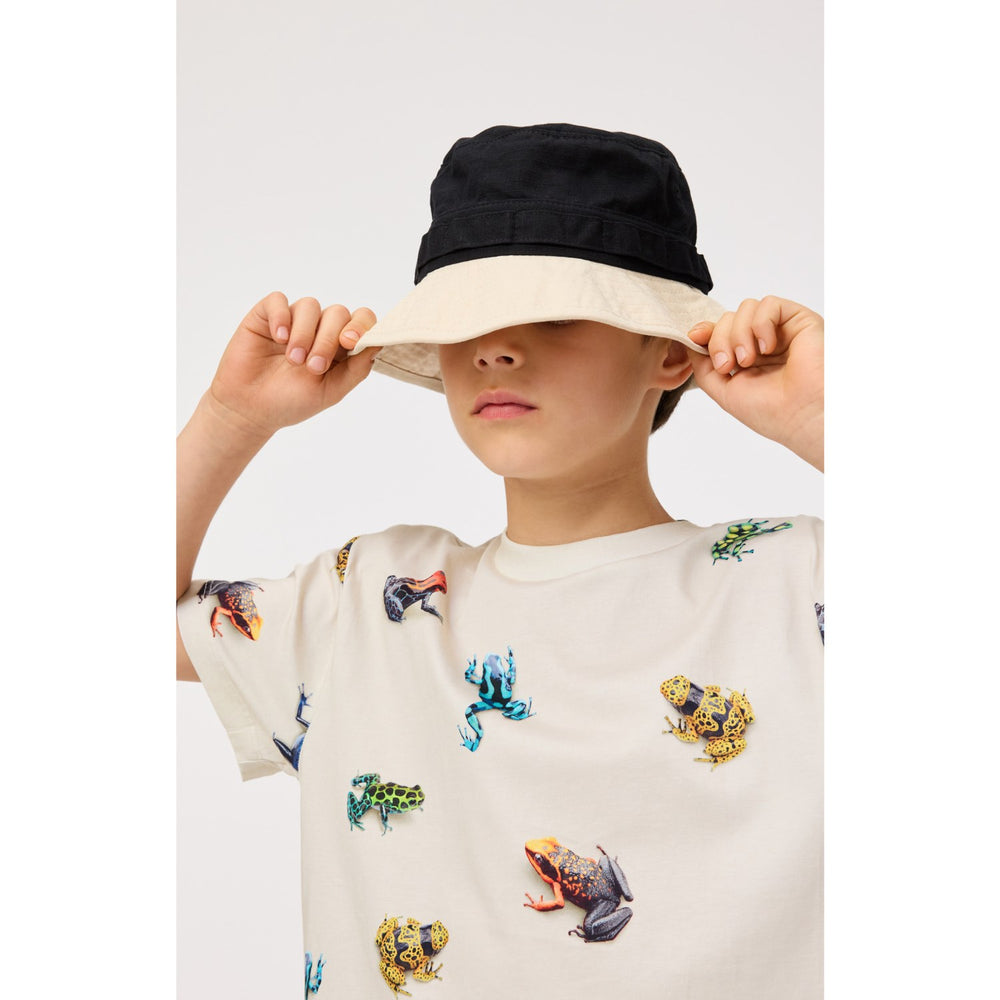 Køb Molo Vibrant Frogs Roxo T-Shirt