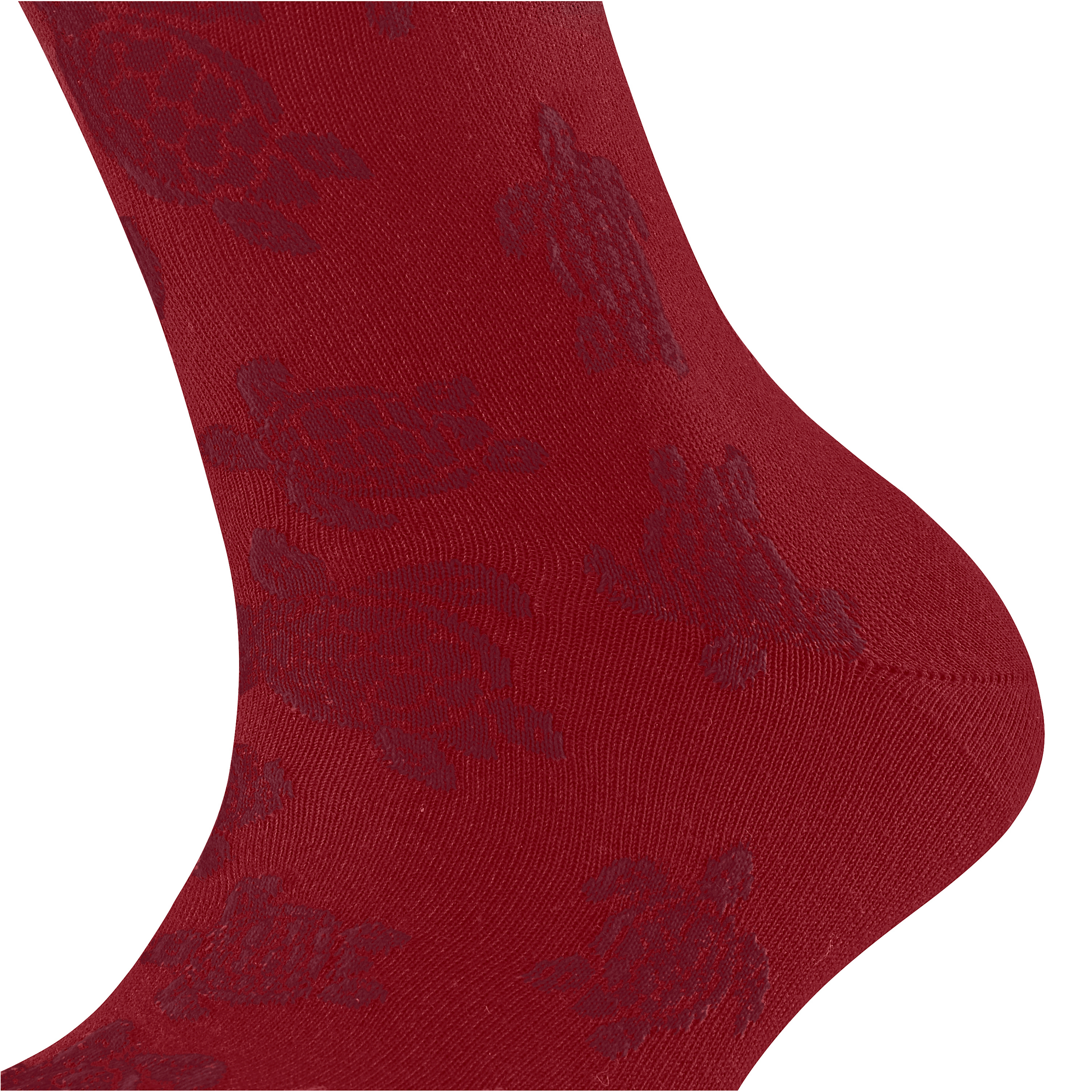 Chaussettes femme Ronde des Tortues | Vilebreauin
