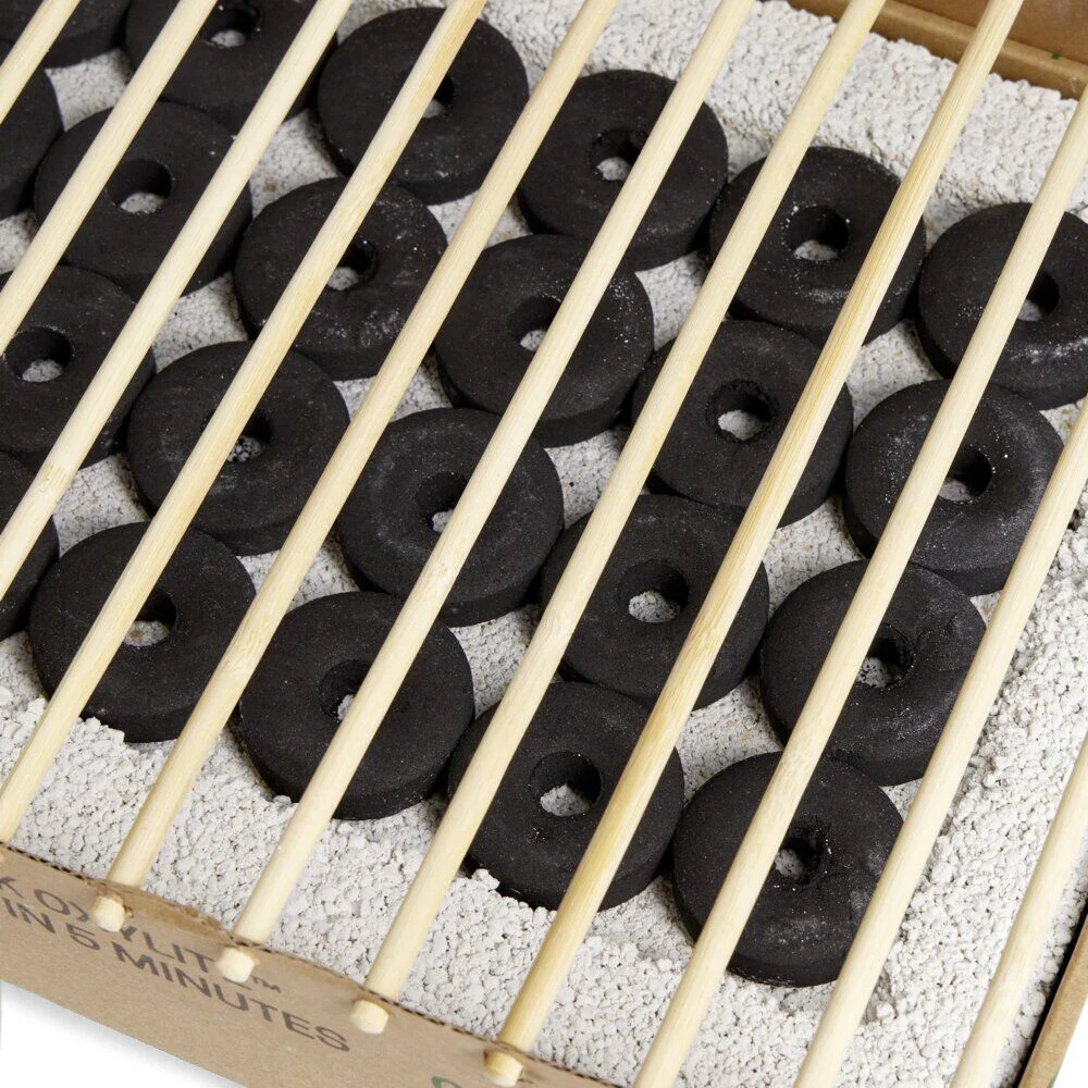 Barbecue Instant Grill à usage unique