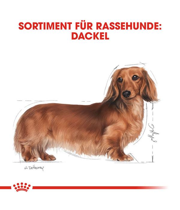 ROYAL CANIN® Trockenfutter für Hunde