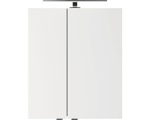 Pelipal Xpressline 4035 spiegelkast, 60 x 14,5 x 70,3 cm, grijs, 2-deurs, LED, IP44