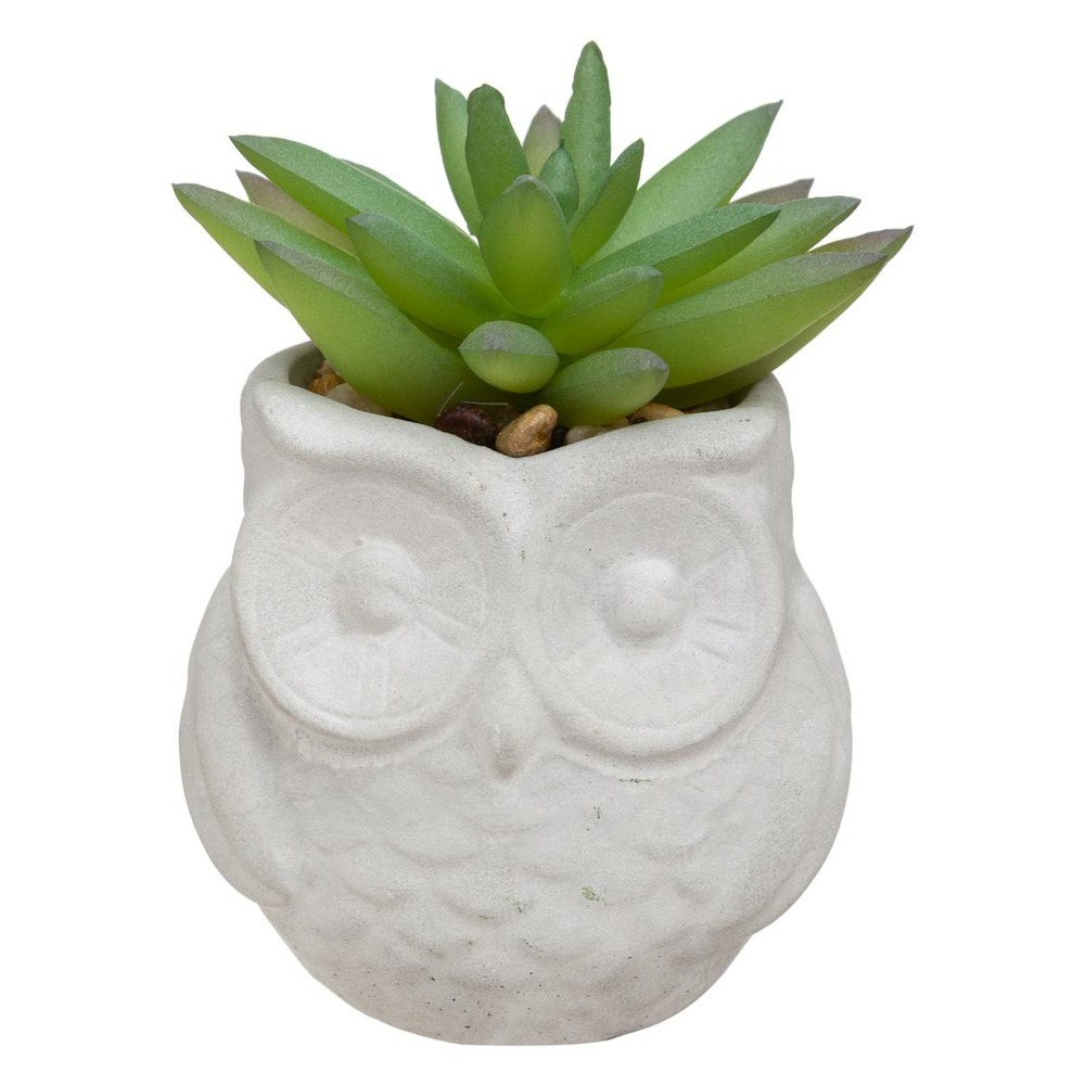 Plante artificielle succulente dans pot forme hibou h 8 cm