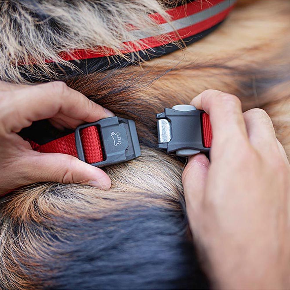 Harnais pour chiens de taille grande daytona cross l, réfléchissant, rembourrée, avec boucle magnétique