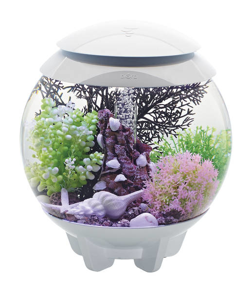 biOrb Halo 15 MCR Wit