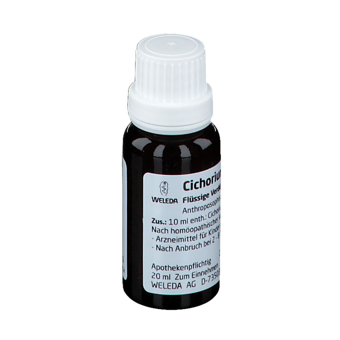 Cichorium Stanno cultum Rh D3