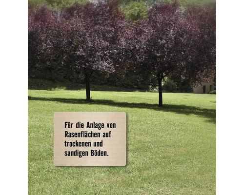 Gazonzaad FloraZelfdrogend gras 1,2 kg / 50 m²