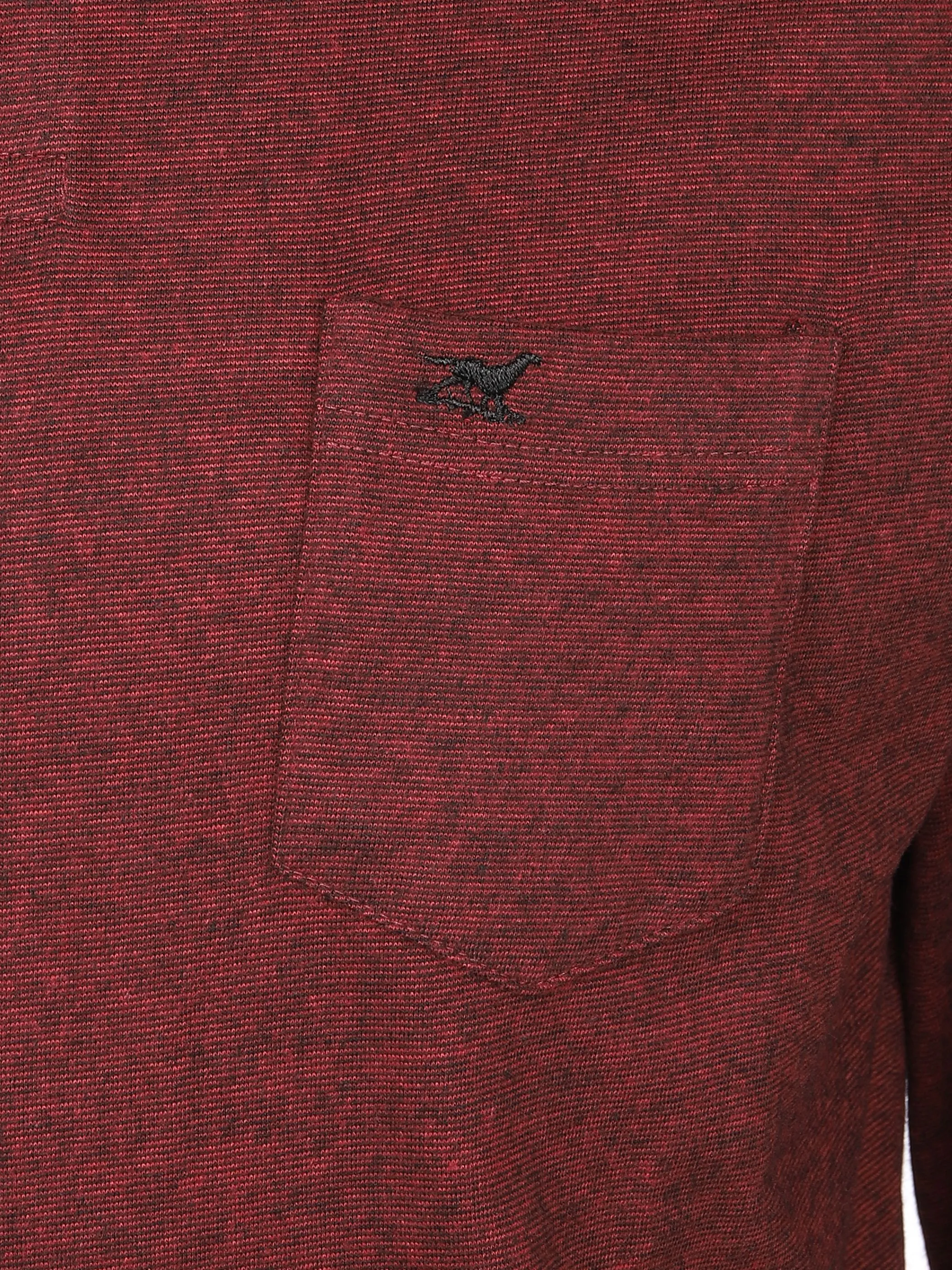 Herren Poloshirt mit langem Arm