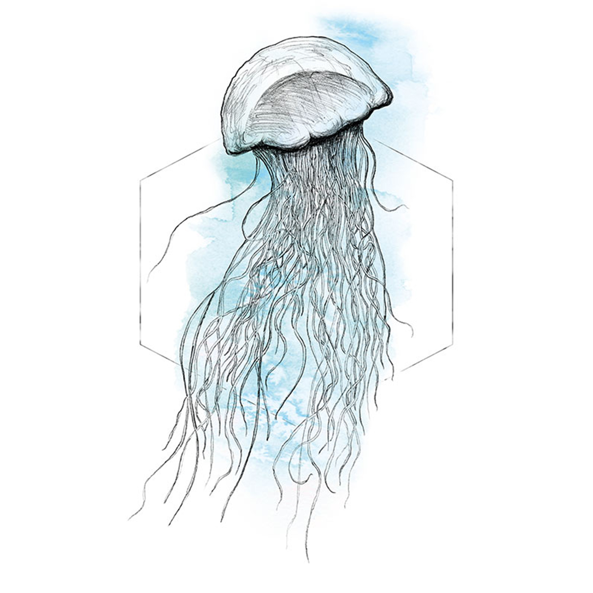 Wandbild JELLYFISH WATERCOLOR - 50x70 cm