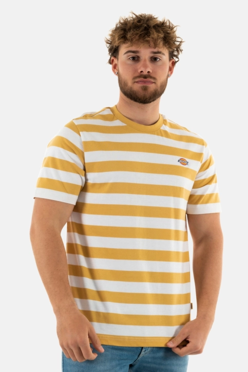 Tee shirt dickies rivergrove h131 fall leaf
