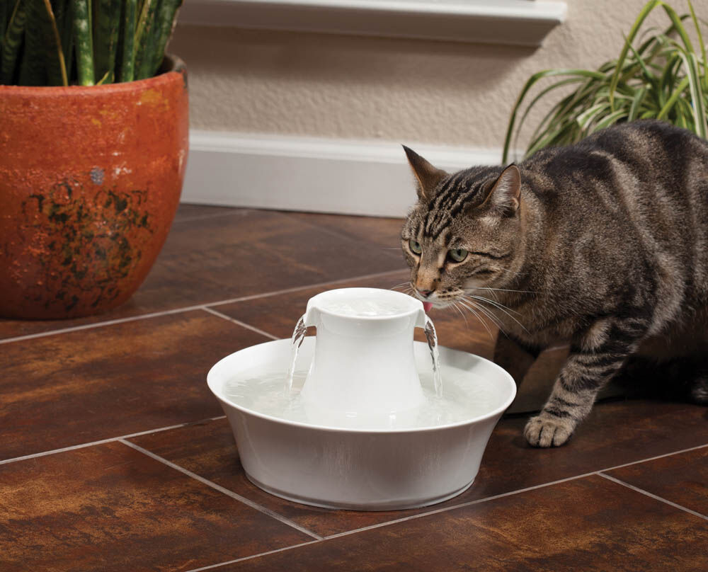 Petsafe Avalon - Keramische drinkfontein - Wit - 31x23x23 cm