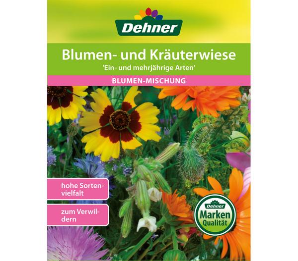 Dehner Blumen- und Kräuterwiese 'Ein- und
