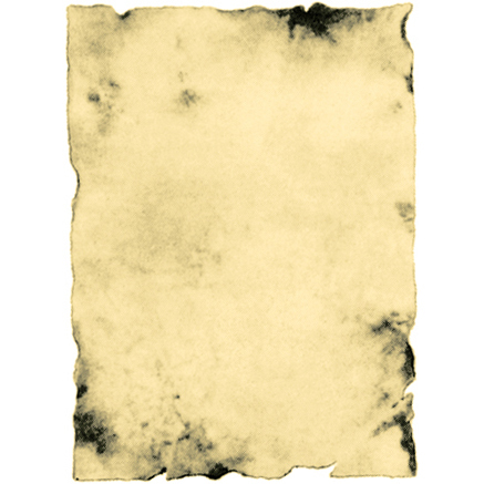 Erola Pergamentpapier, A4, 170 g/m², braun