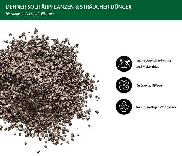 Dehner Solitärpflanzen- und