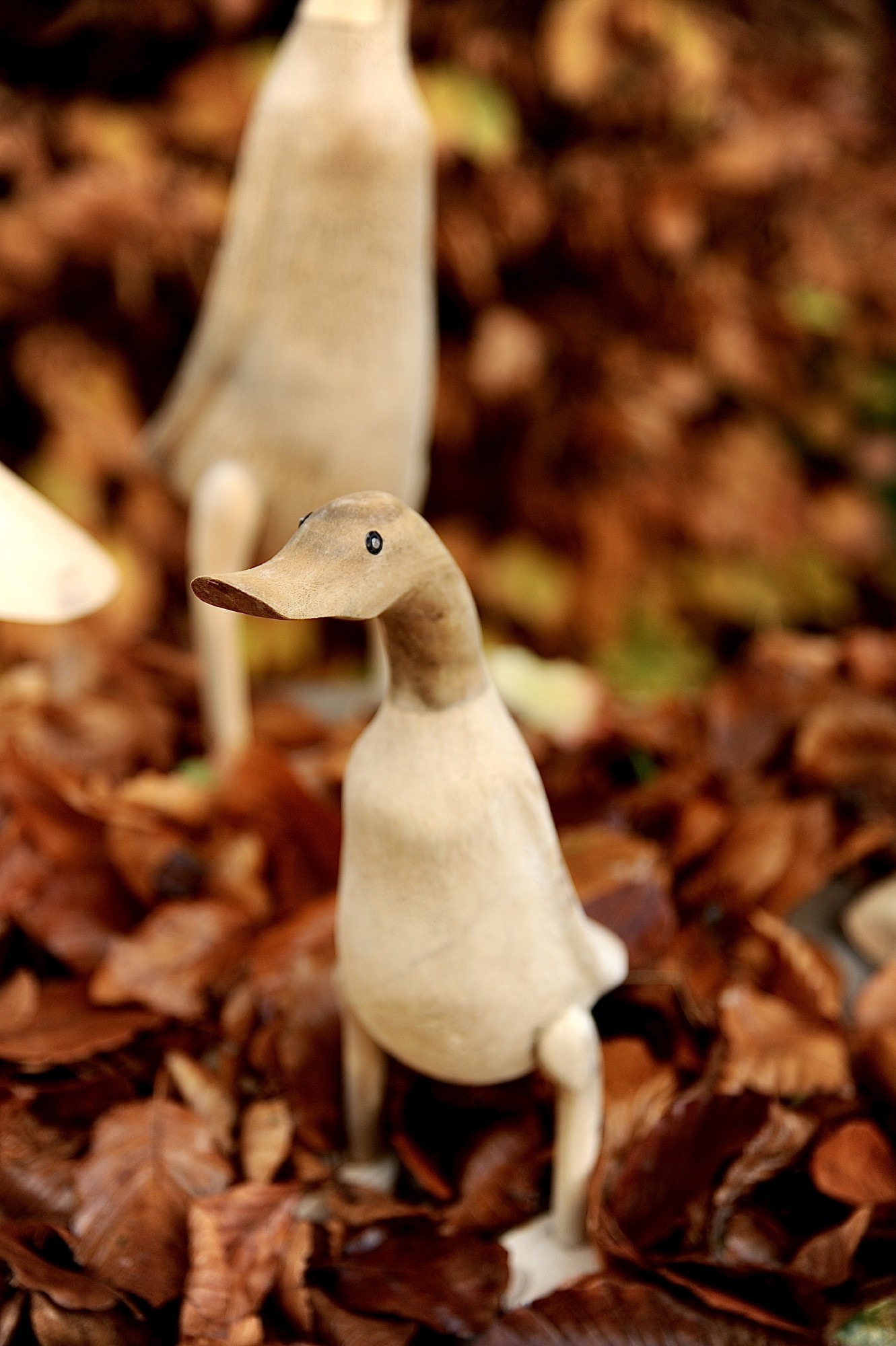 Ente 'Halus' aus Wurzelholz, groß, H ca. 55-60 cm von fischer's lagerhaus
