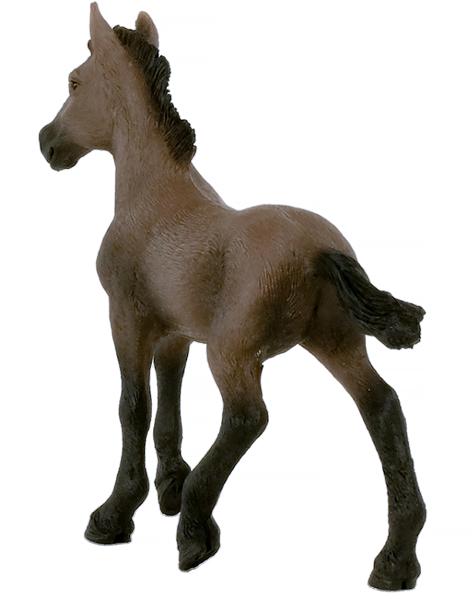 schleich® 13954 Horse Club - Paso Peruano Fohlen