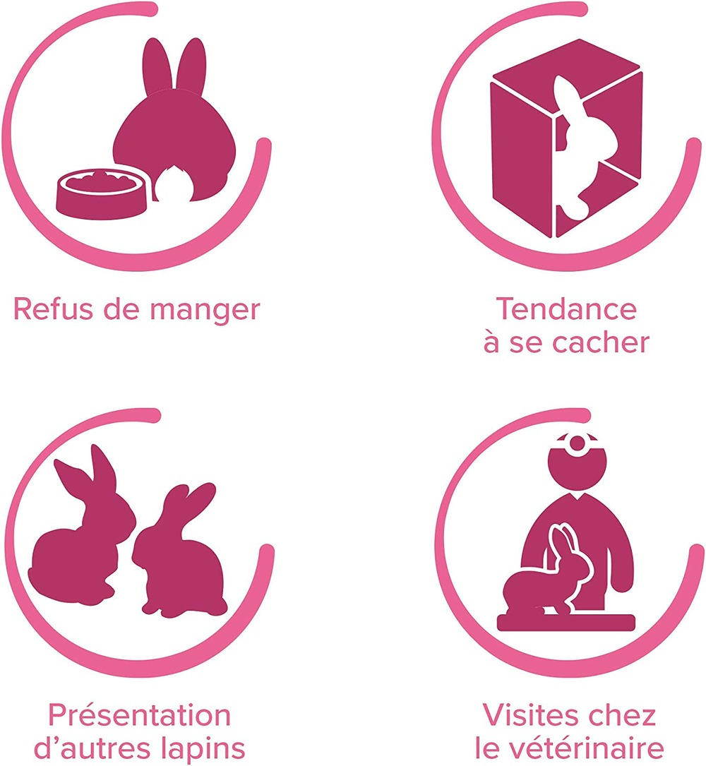 Spray calmant rabbitcomfort lapin – flacon 30 ml