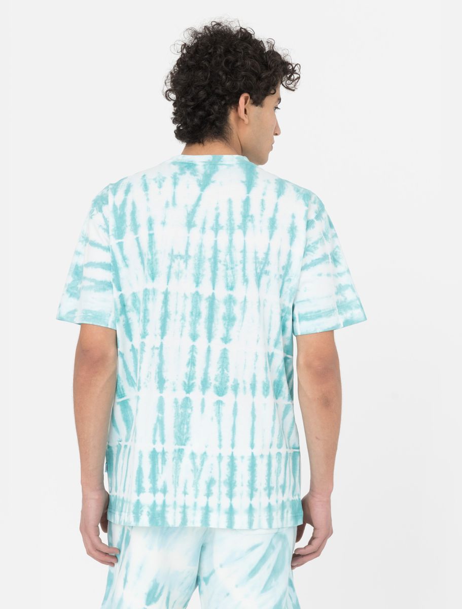 Dickies Westfir SS Sky Blue