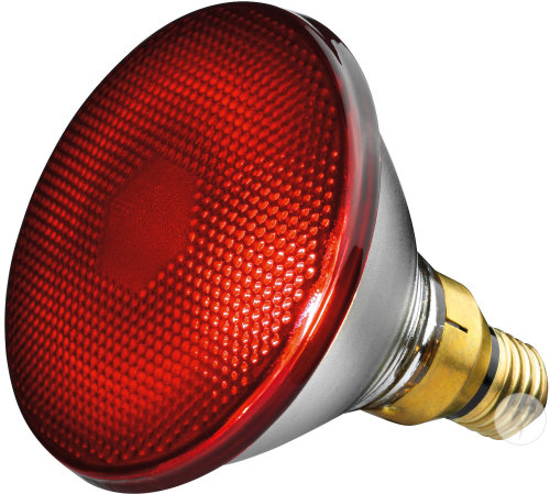 Beurer Ampoule Lampe Infra-Rouge 150W Pièce 1