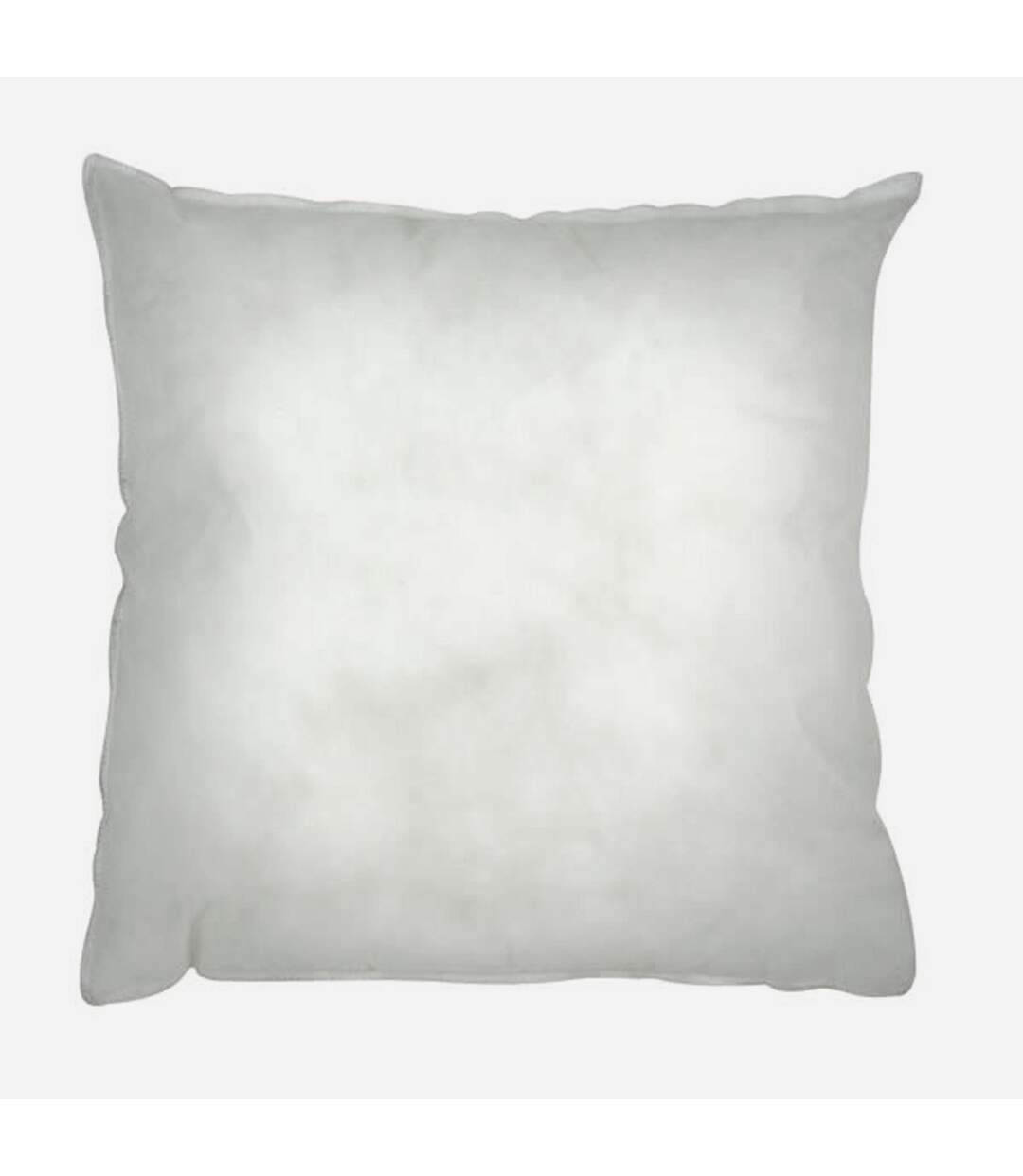 Riva Home - Coussin en polyester (Blanc) (30x45cm) - UTRV324