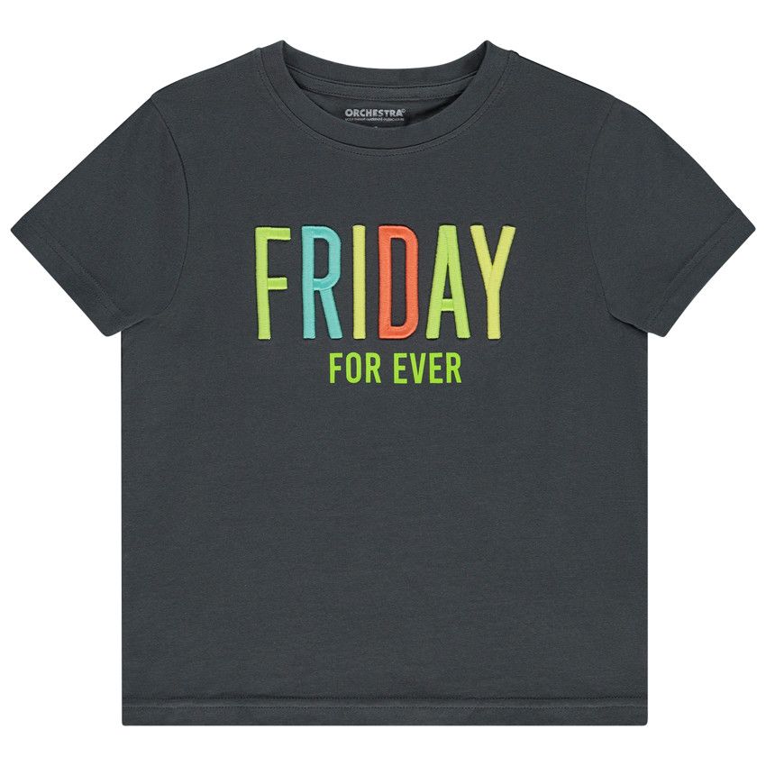 T-shirt manches courtes uni avec print et écriture brodée pour garçon - Gris foncé