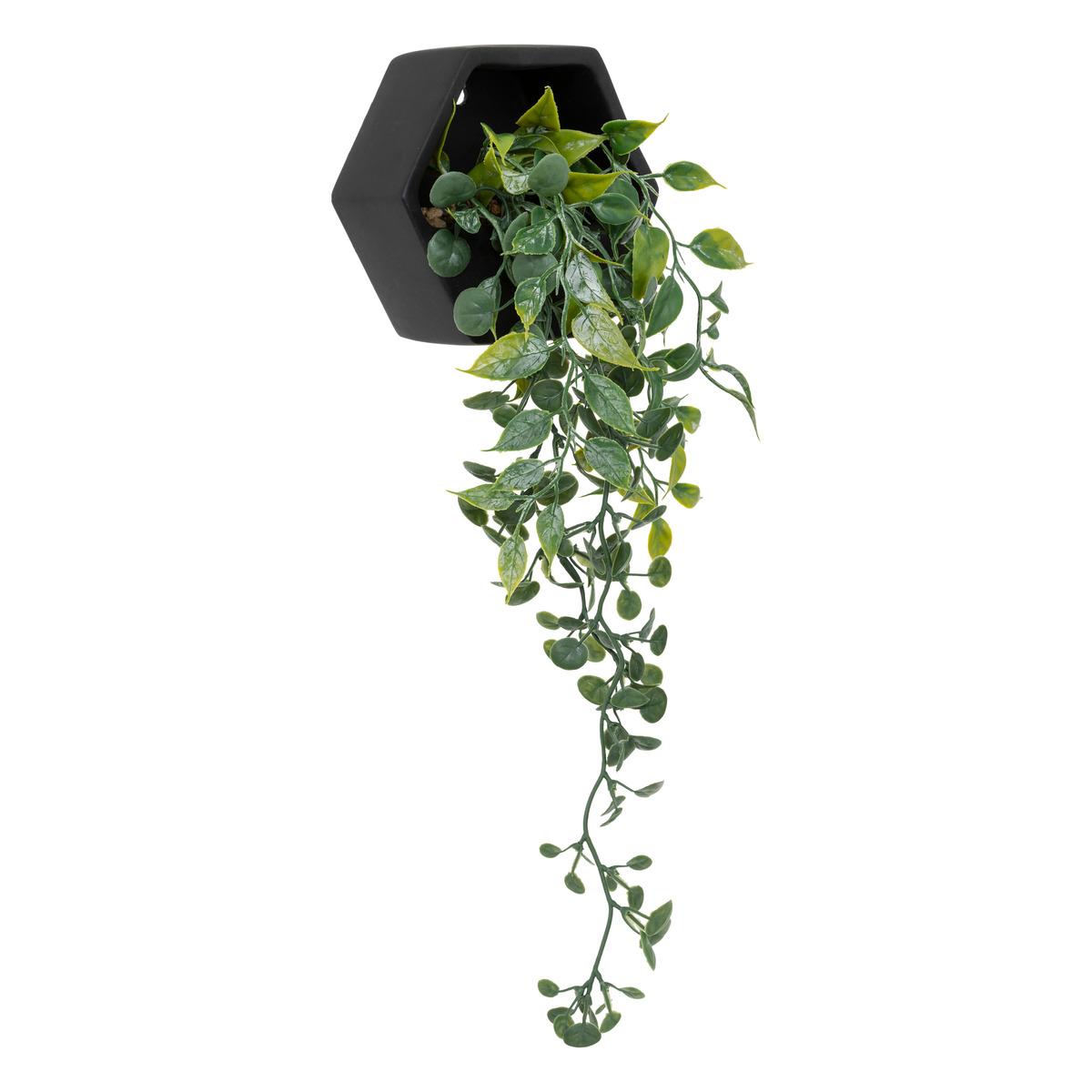 PLANTE A SUSPENDRE CIMENT AYAME NOIR H.14CM