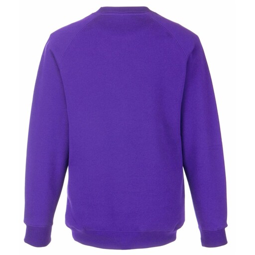 Moletom Fruit Of The Loom com mangas raglan (pacote com 2)