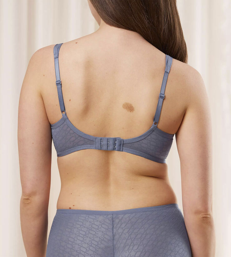 Triumph Triumph Signature Sheer W01 EX Cloudy blue