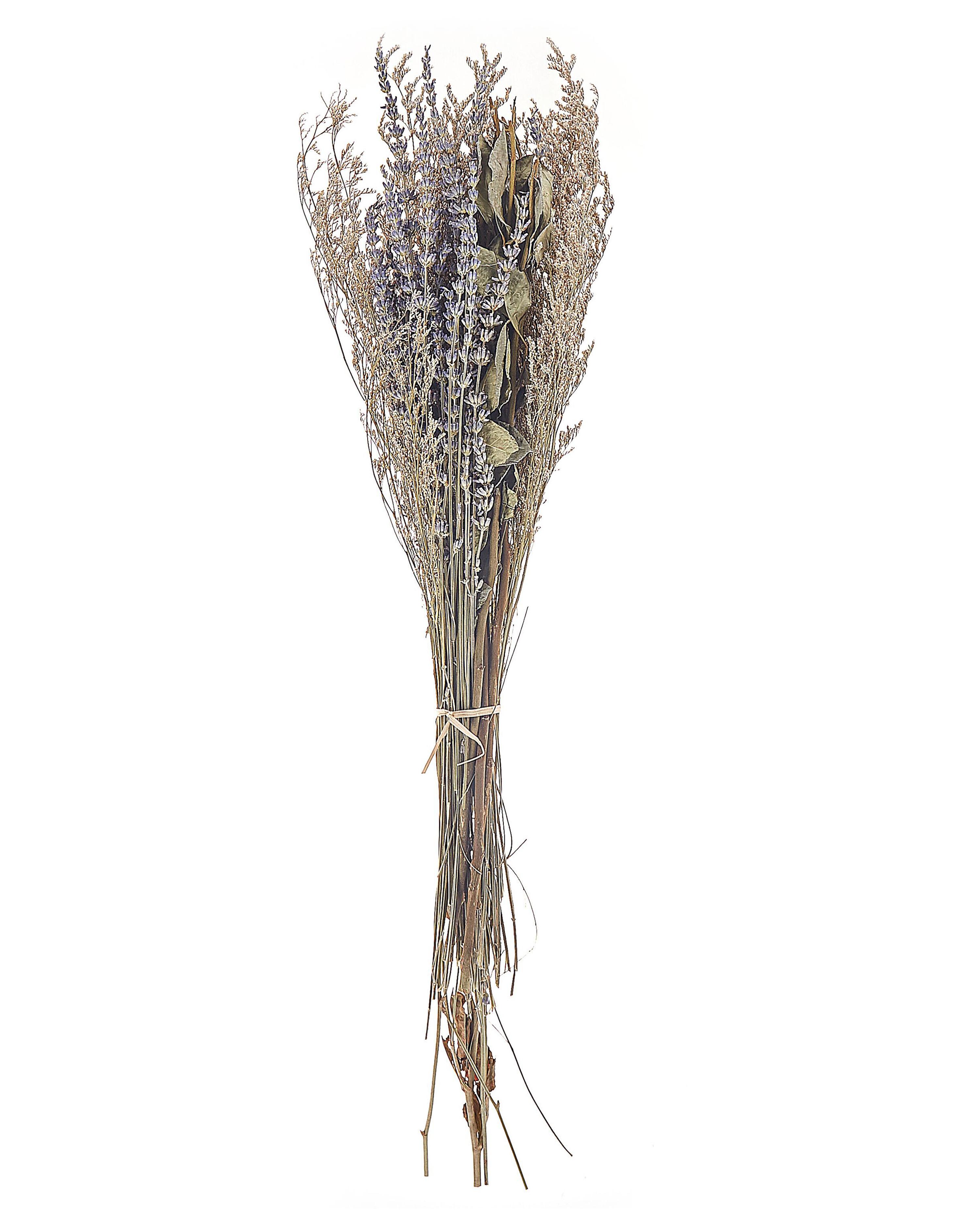 Droogbloemen boeket NAWARRA 70 cm Natuurlijk