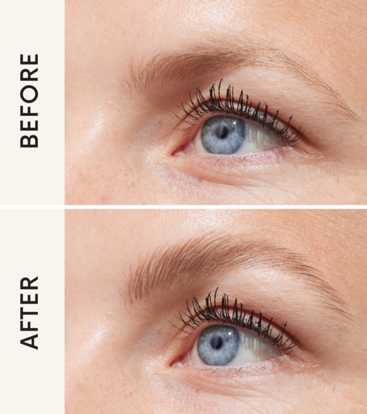 Gosh - Gel de coloração para sobrancelhas Brow Lift - Brow Lift