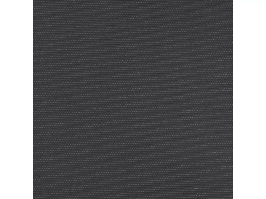 Auvent latéral rétractable noir 120x600 cm