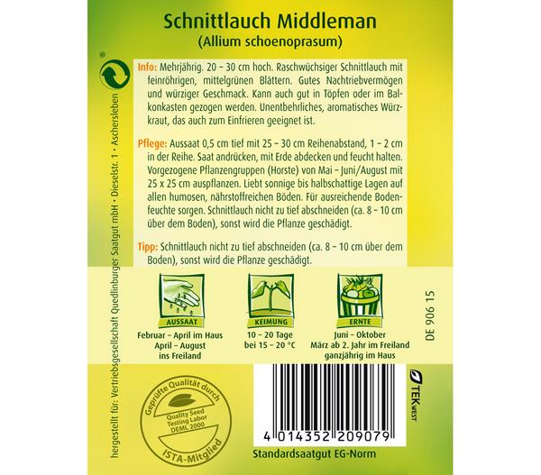 Quedlinburger Samen Schnittlauch 'Middleman'