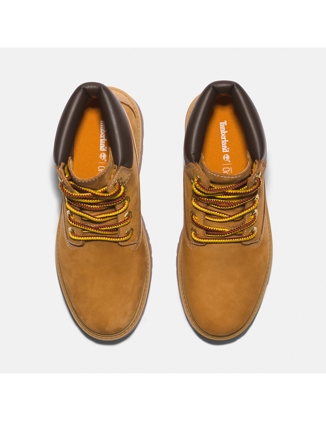 timberland Bottines Femme stst 6 in lace waterproof boot wheat