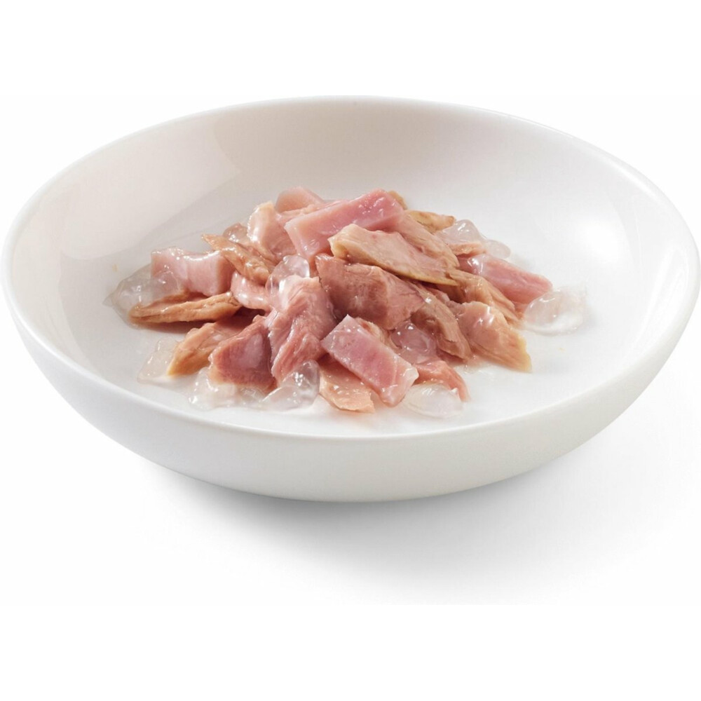 14x Schesir Kattenvoer Tonijn en Ham in Gelei85 gr