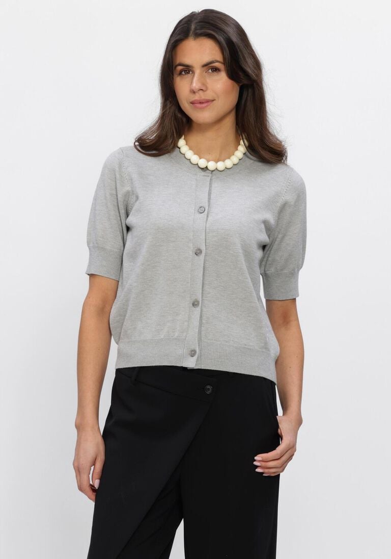 lichtgrijze studio ar vest noor viscose knit