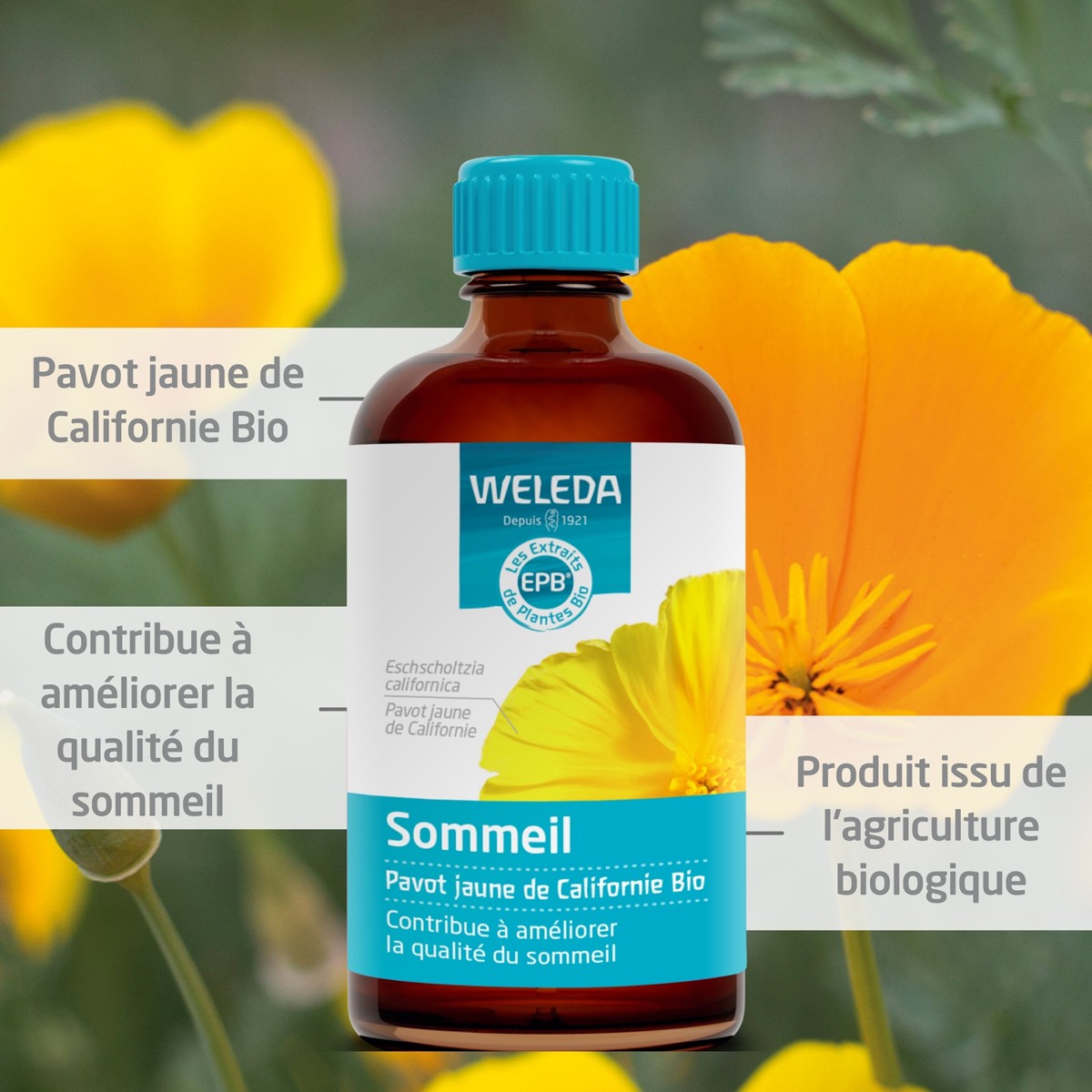 EPB® Pavot jaune de Californie bio - Sommeil - 100 ml