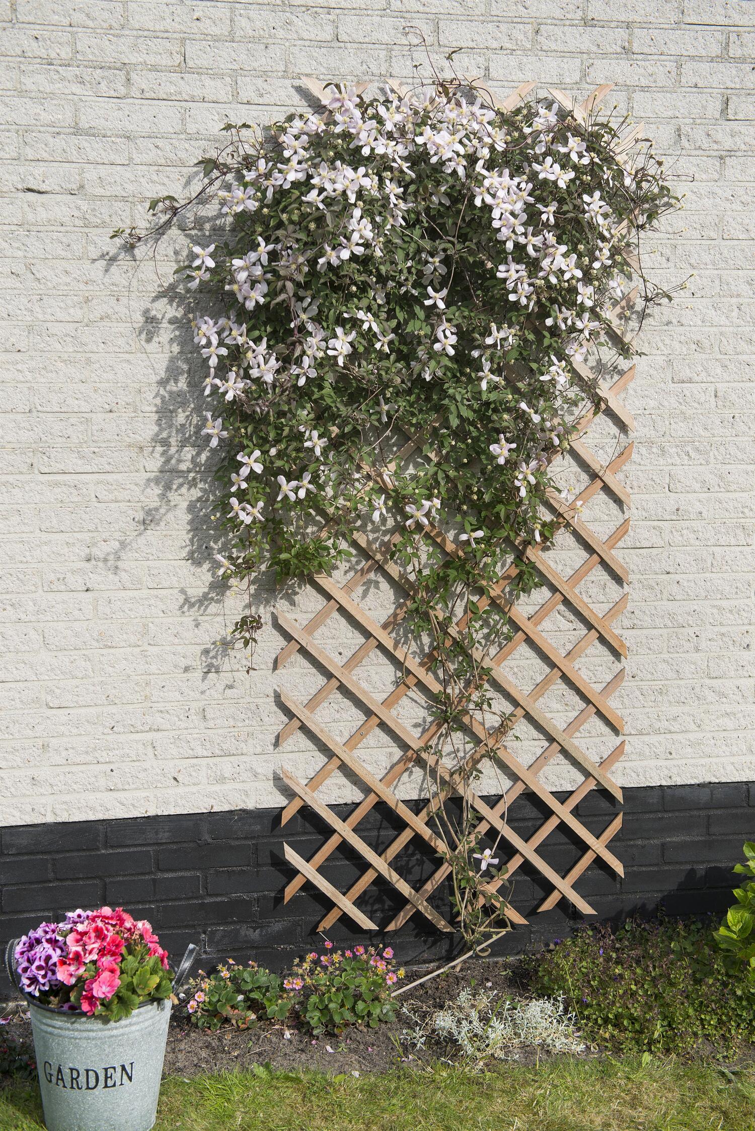 Nature klimrek fsc hout 50x150cm