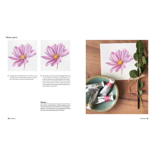 Botanicals – Naturmotive in Aquarell