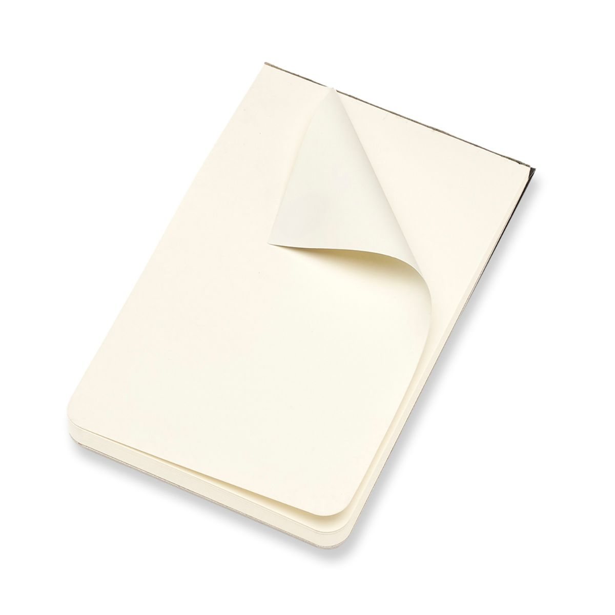 Moleskine Large Black Art Sketch Pad