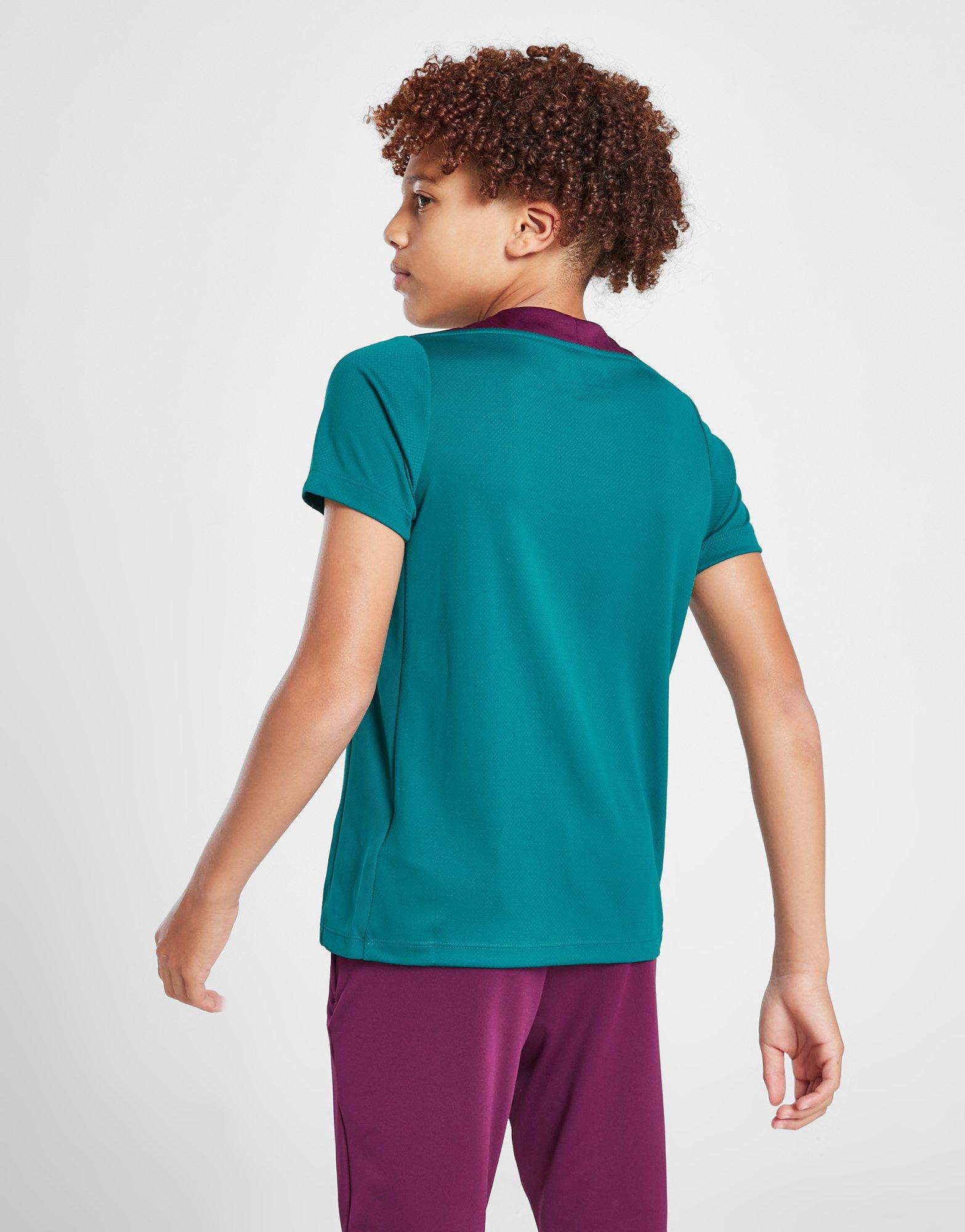 Nike Paris Saint Germain Strike T-Shirt Junior