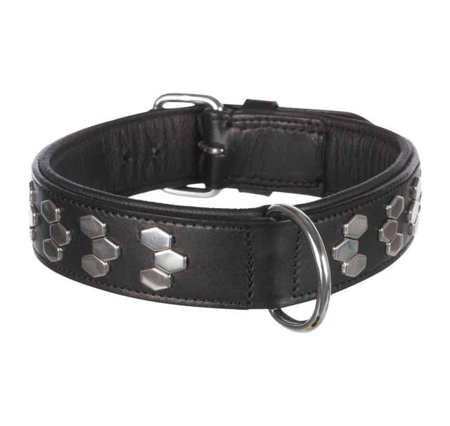 Aktiv krave med nitter, XL: 65–75 cm/40 mm, sort