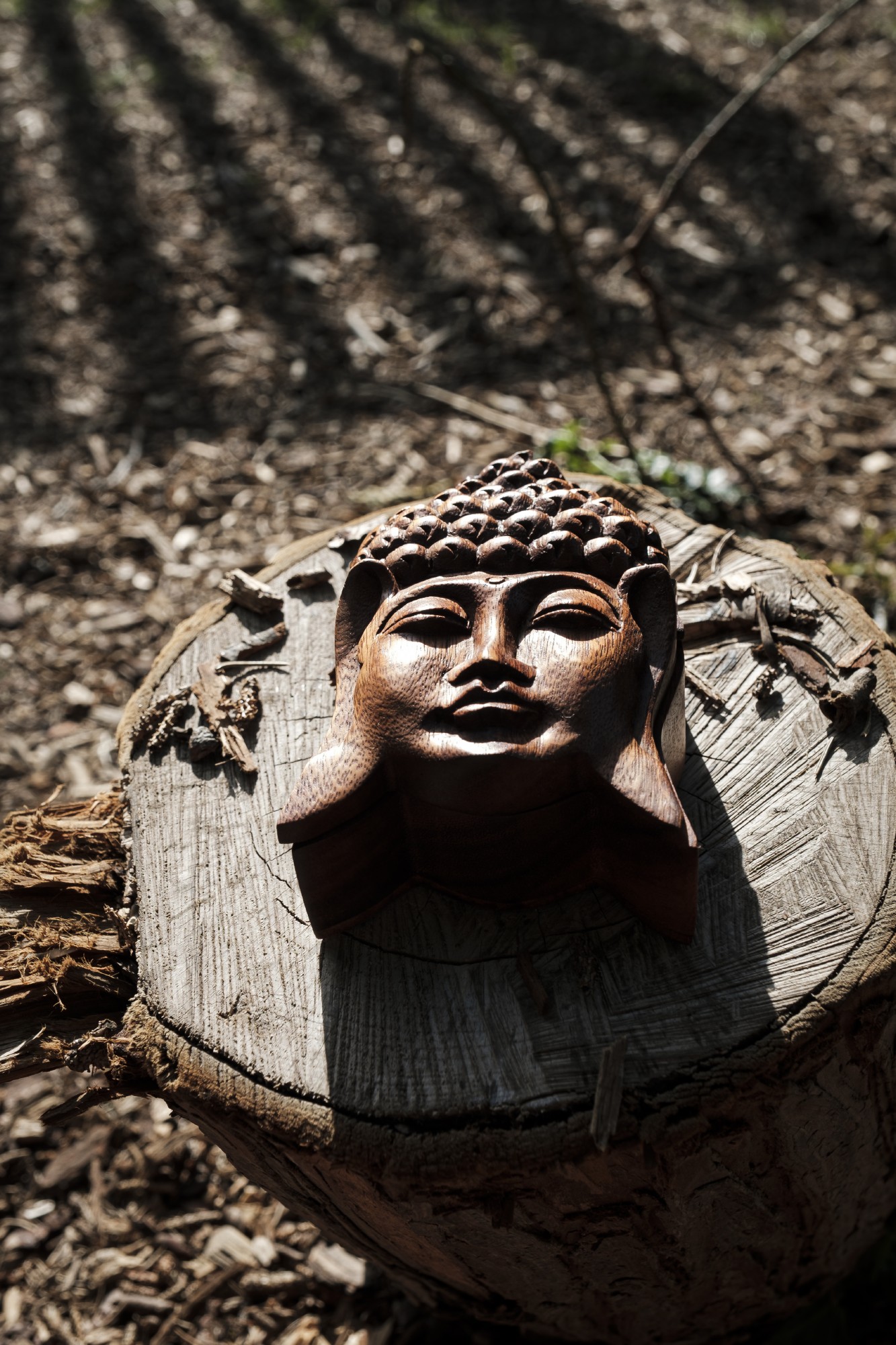 Secret-Box 'Buddha', T 16 cm, B 9 cm, H 6 cm von fischer's lagerhaus